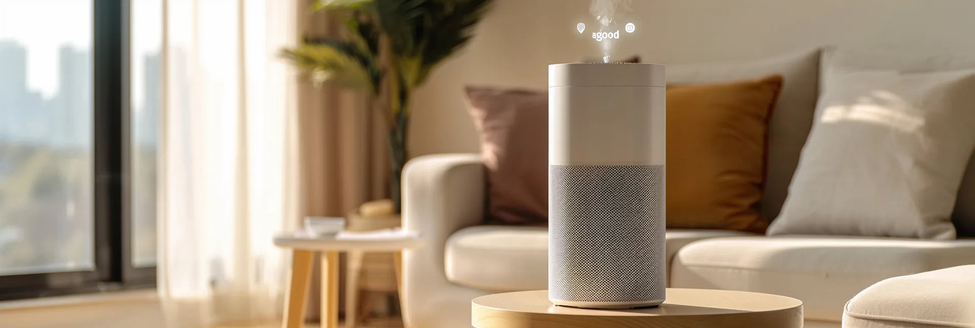 Air Purifier When Choosing the Best One for Your Home