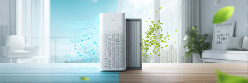 How Often to Change HEPA Filter in an Air Purifier - Tips for Maintaining Air Quality