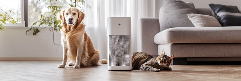 Best Air Purifier for Pet Odors - Top 10 Picks That Neutralize Smells image