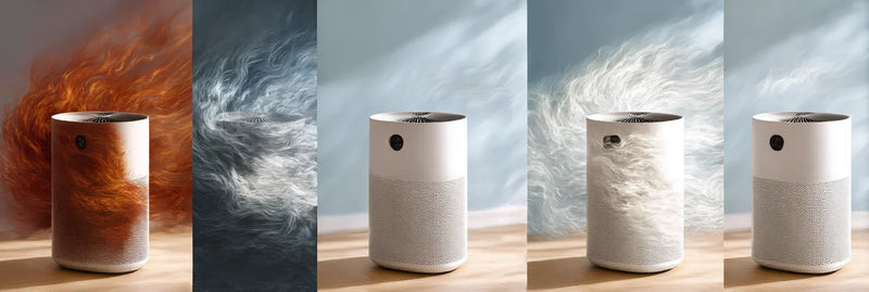 Top Home Air Purifiers for Every Budget