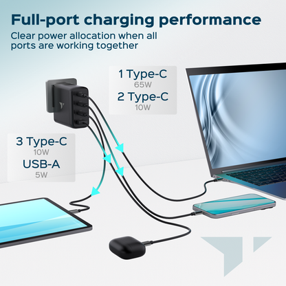Turonic 100W Charger (BZ-A075)