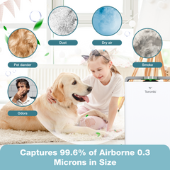Turonic Air Purifier Pro PH950